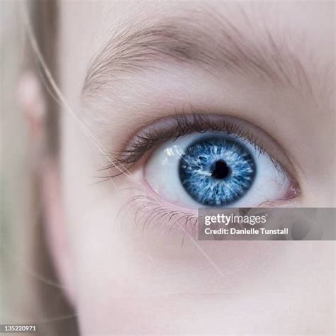 8,793 Blonde Blue Eyes Girl Stock Photos & High